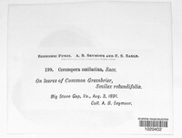 Image Associated With the Occurence